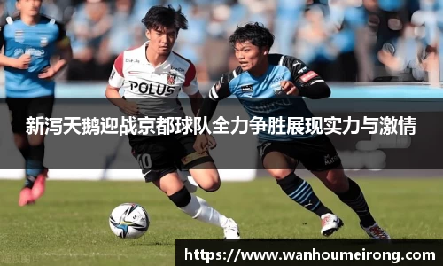 新泻天鹅迎战京都球队全力争胜展现实力与激情